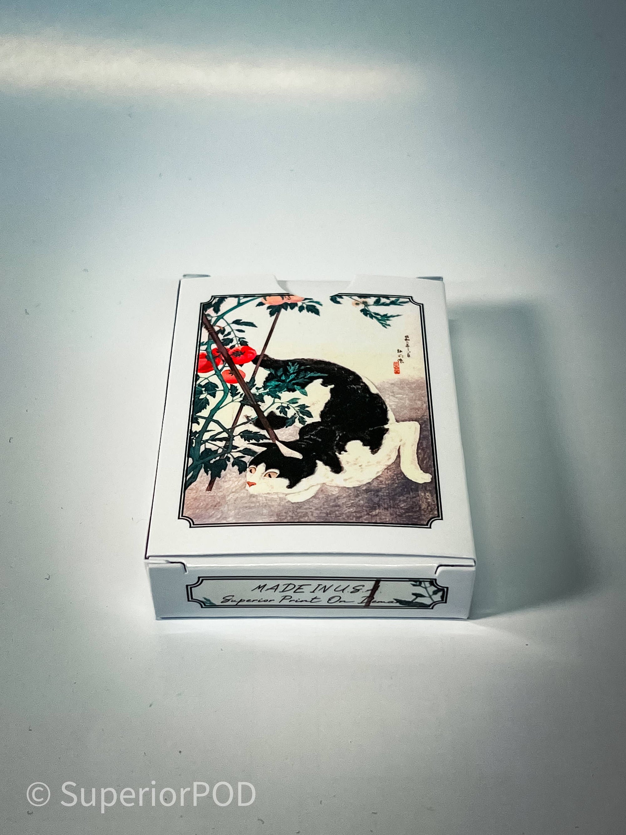 Hiroaki Takahashi Cat With Tomato Plant Playing Cards, Japan