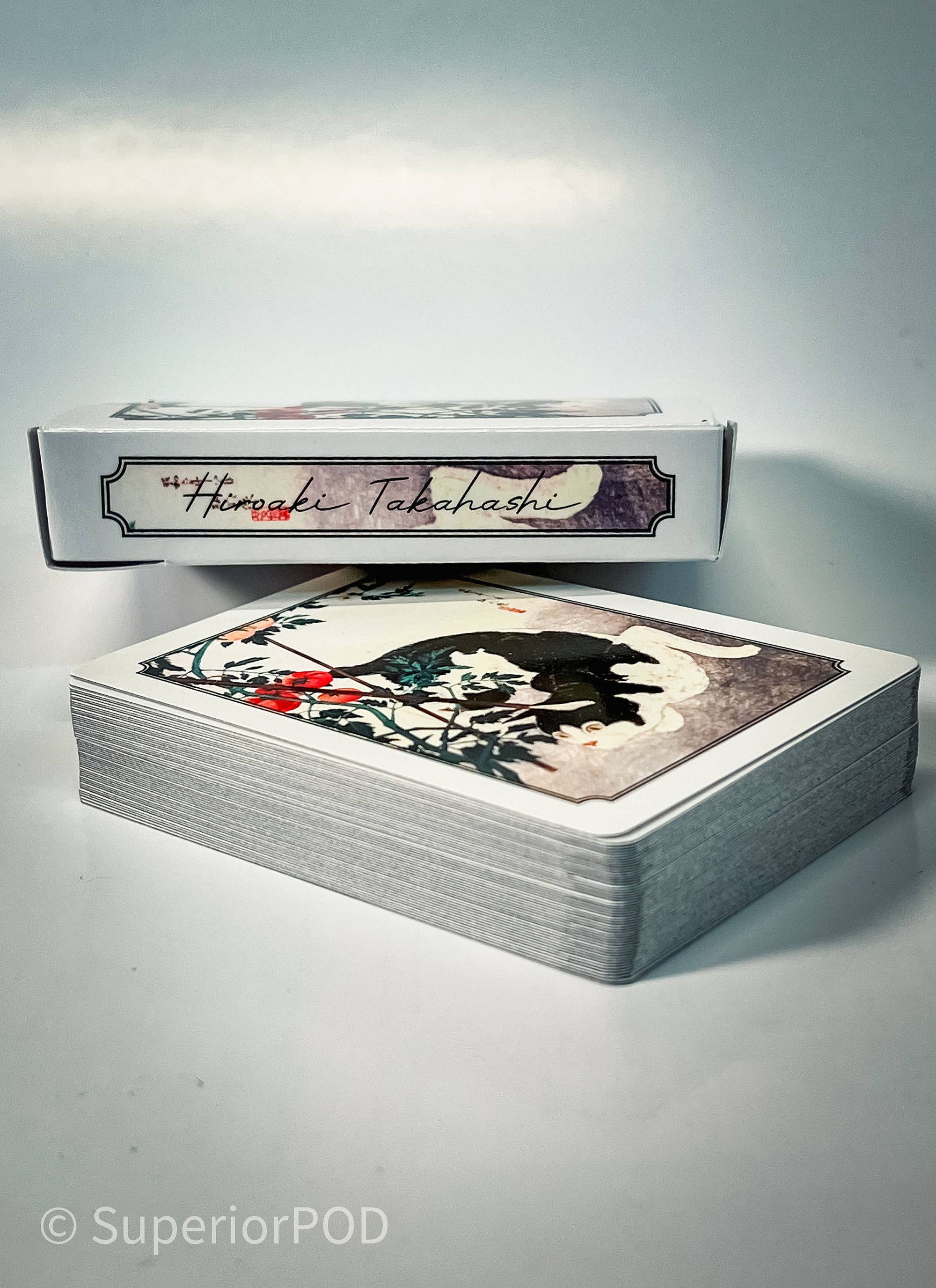 Hiroaki Takahashi Cat With Tomato Plant Playing Cards, Japan