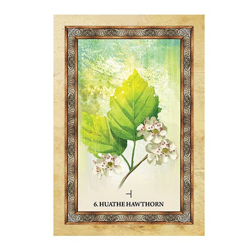 Celtic Tree Oracle Cards – Sharlyn Hidalgo (Blue Angel, 25-Card Deck + Guidebook