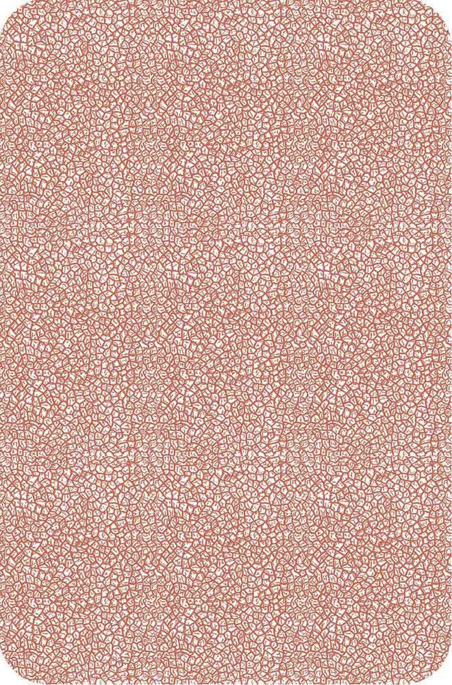 Ae Waite Premium Edition Tarot Cards Agm