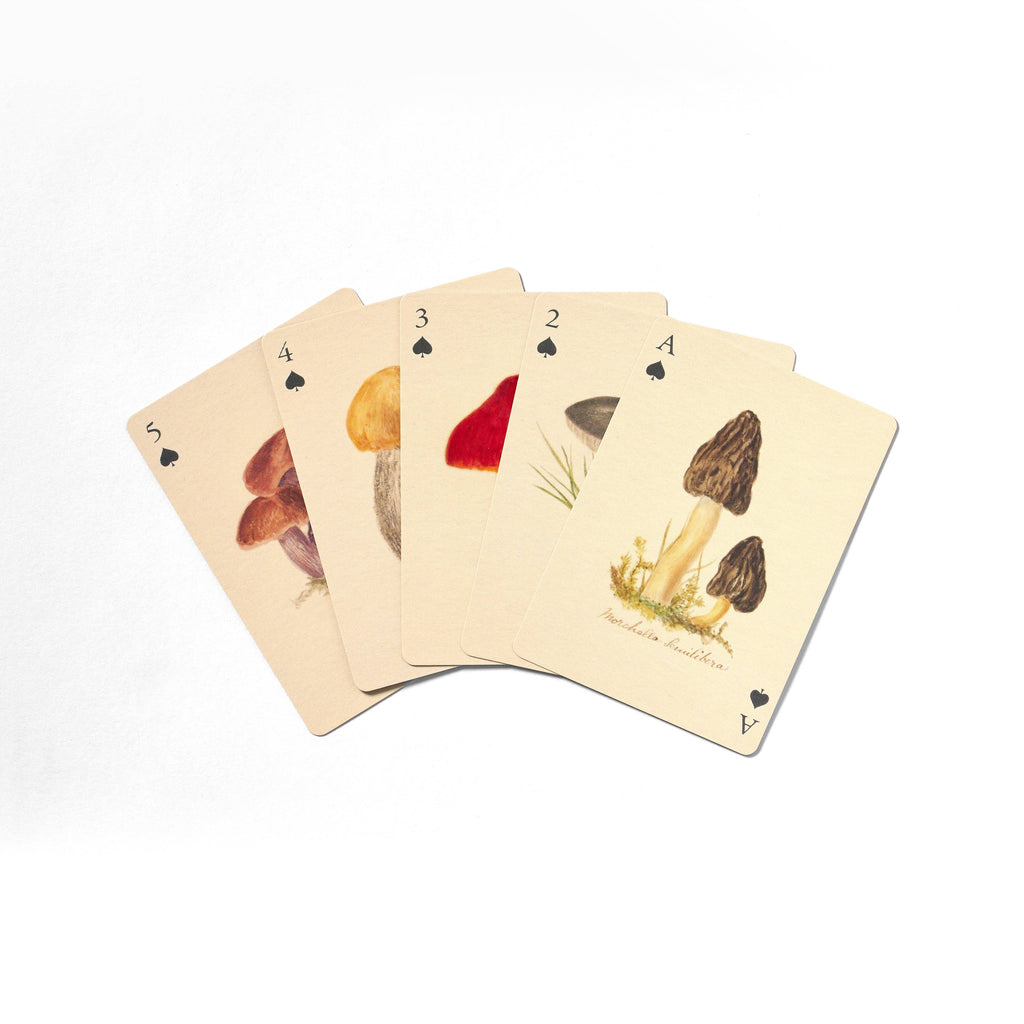 Fungi Playing Cards – Set of Two Decks by Roomytown