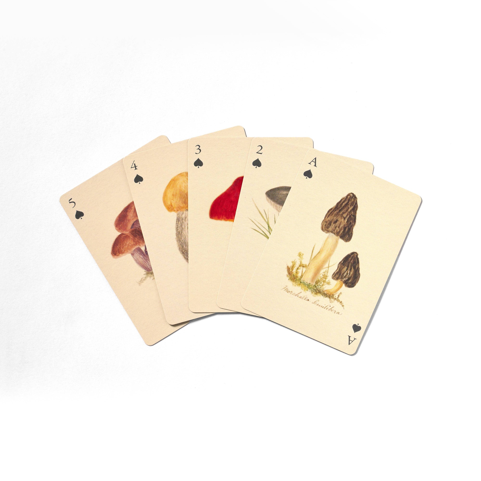 Fungi Playing Cards – Set of Two Decks by Roomytown