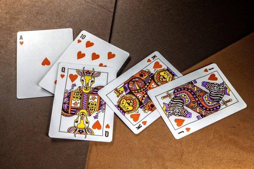 Animal Kingdom Playing Cards Theory 11