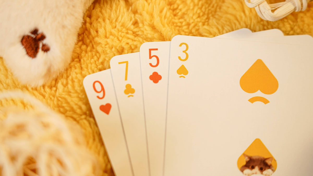 Cat & Dog Playing Cards – TCC Fashion