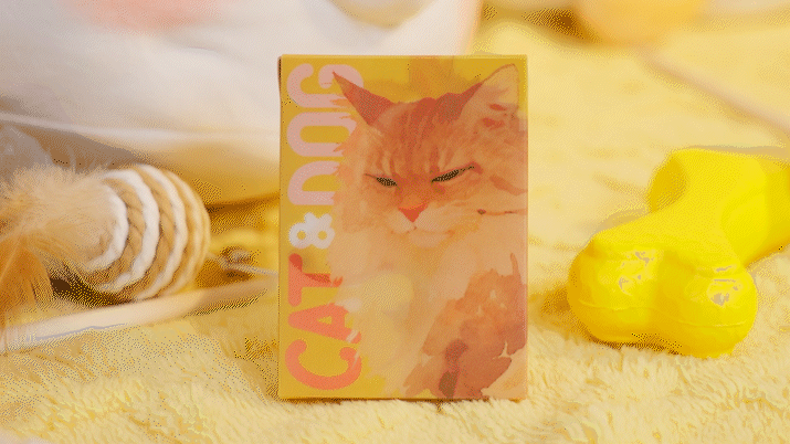 Cat & Dog Playing Cards – TCC Fashion