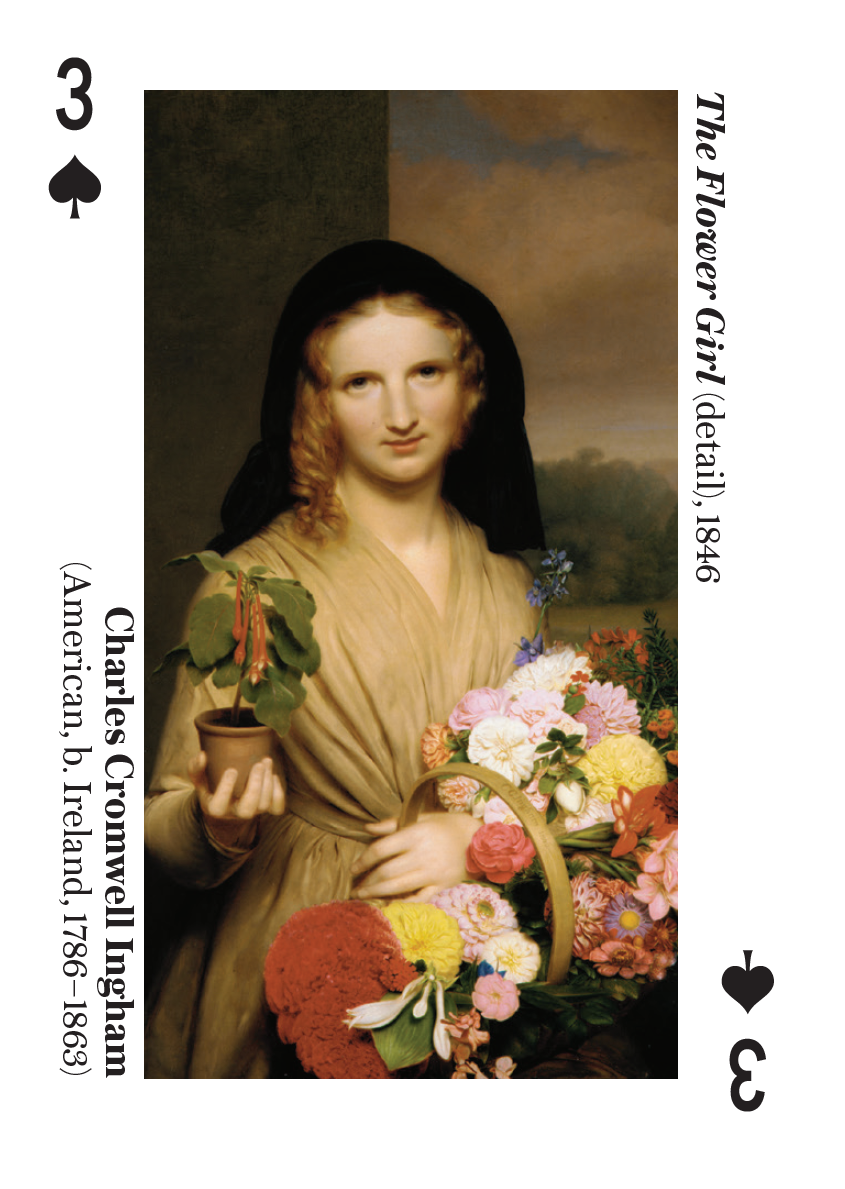 Botanicals The Metropolitan Museum of Art Playing Cards