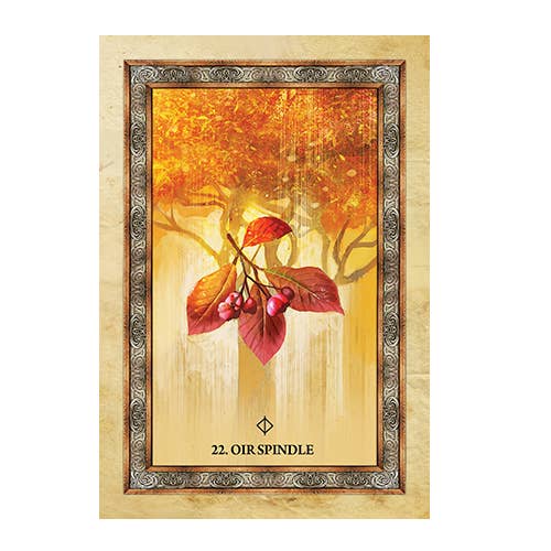 Celtic Tree Oracle Cards – Sharlyn Hidalgo (Blue Angel, 25-Card Deck + Guidebook