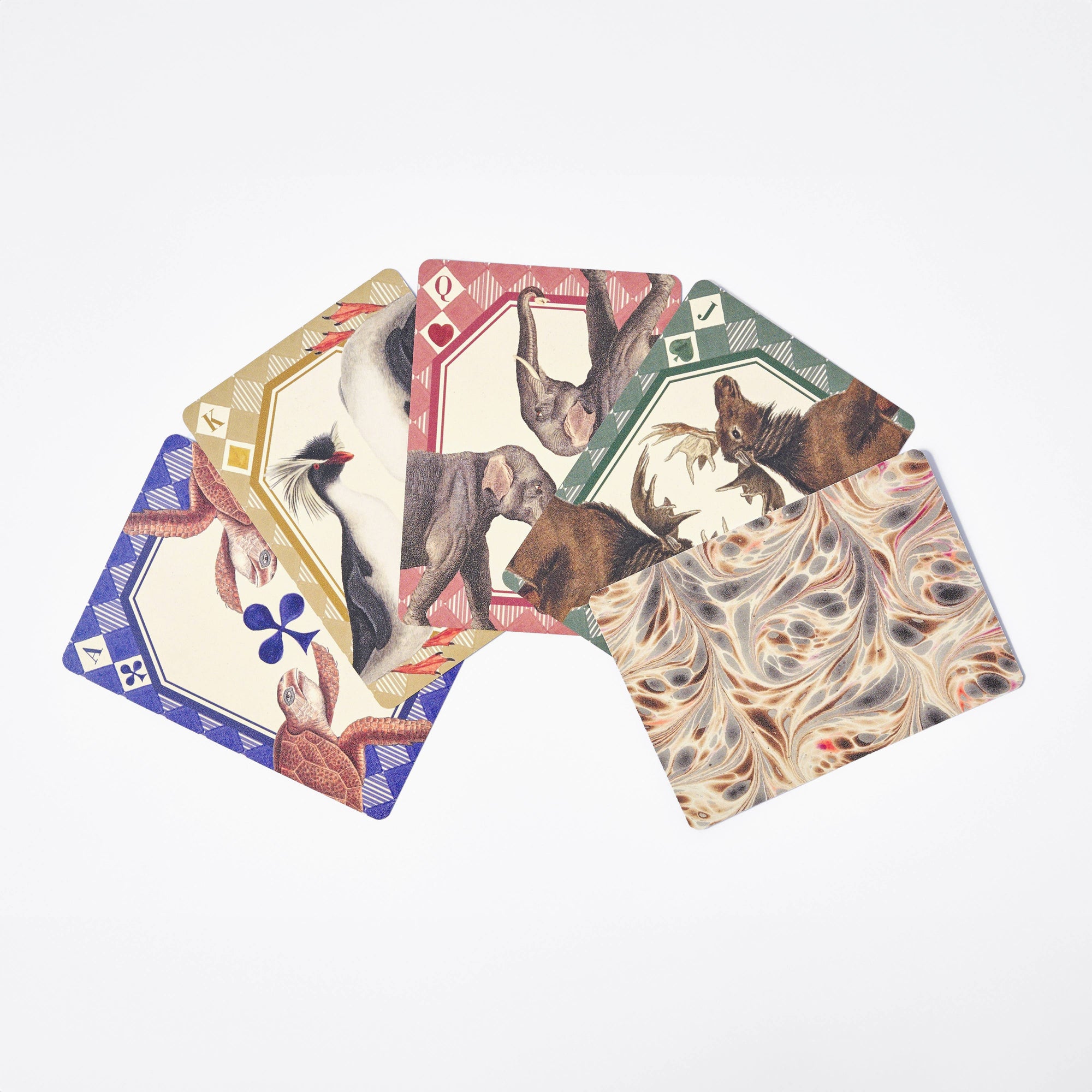 Animal Kingdom Playing Cards - Roomytown