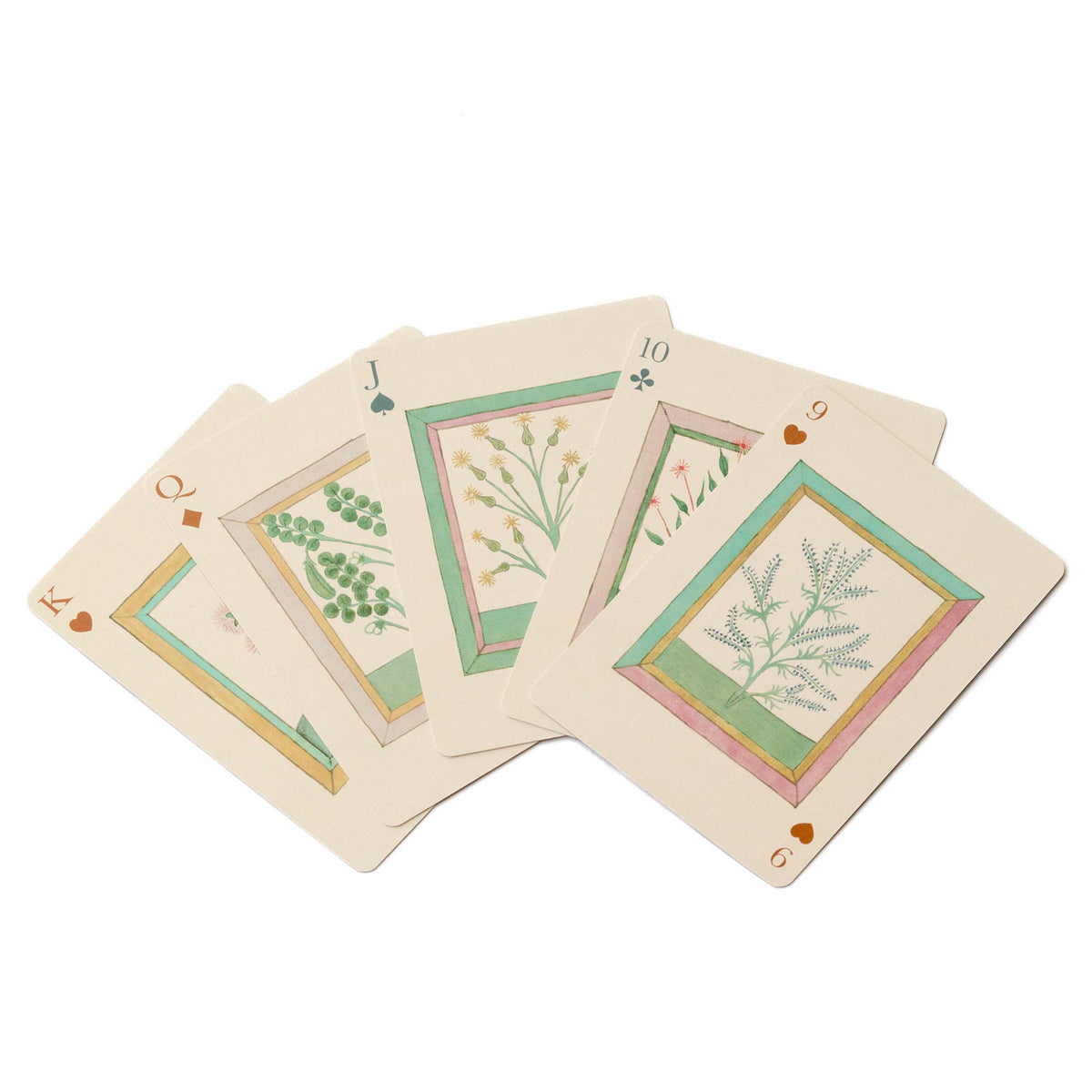 Selection of Roomytown Book of Herbs Playing Cards featuring detailed vintage botanical illustrations