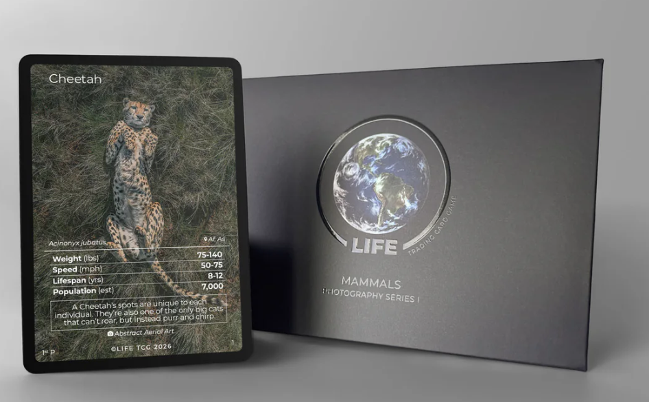 LIFE TCG Cheetah Photography Card