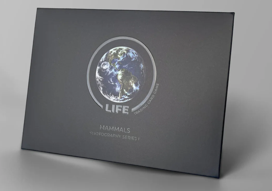 LIFE TCG Cheetah Photography Card