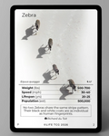 LIFE TCG – Zebra Photography Card (Limited Edition)