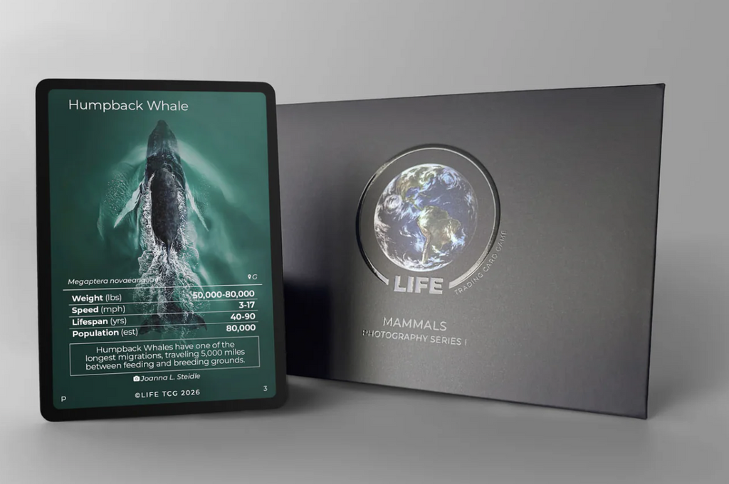 LIFE TCG – Humpback Whale Photography Card (Limited Edition)