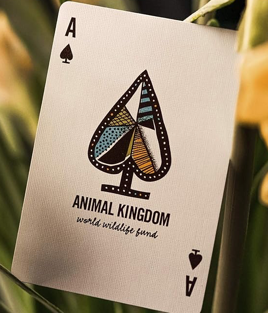 Animal Kingdom Playing Cards Theory 11