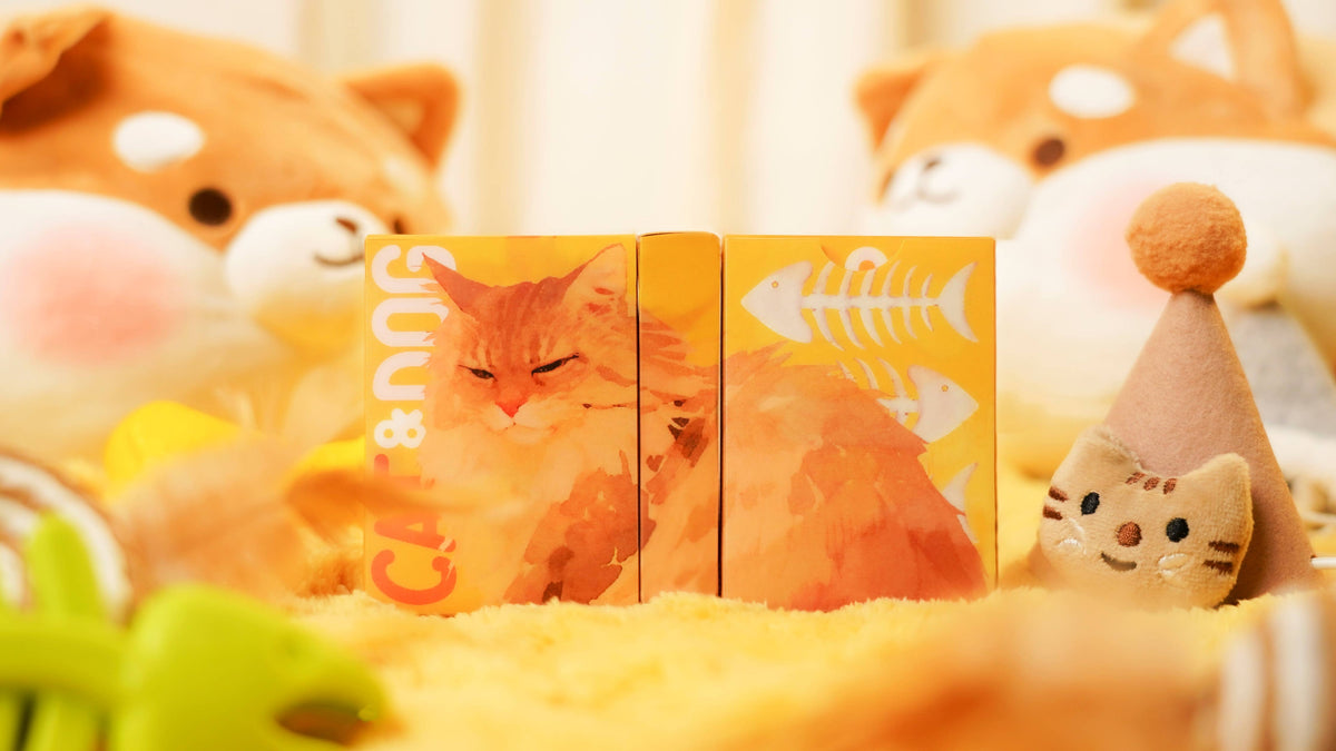 Cat & Dog Playing Cards – TCC Fashion