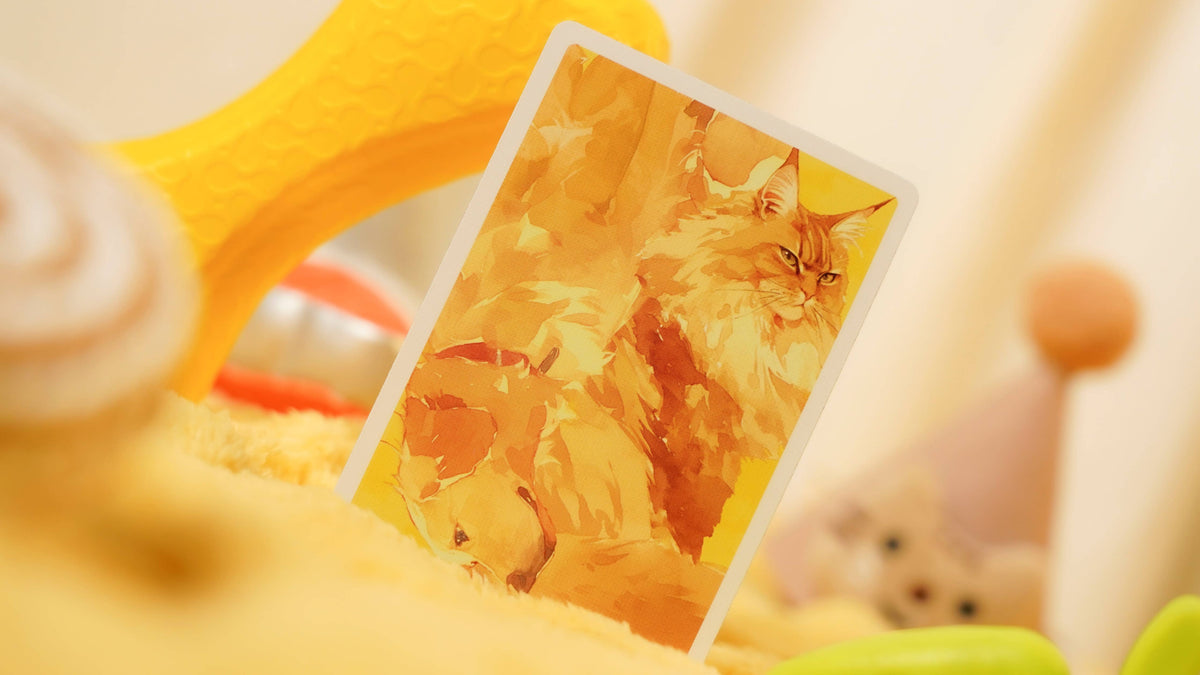 Cat & Dog Playing Cards – TCC Fashion