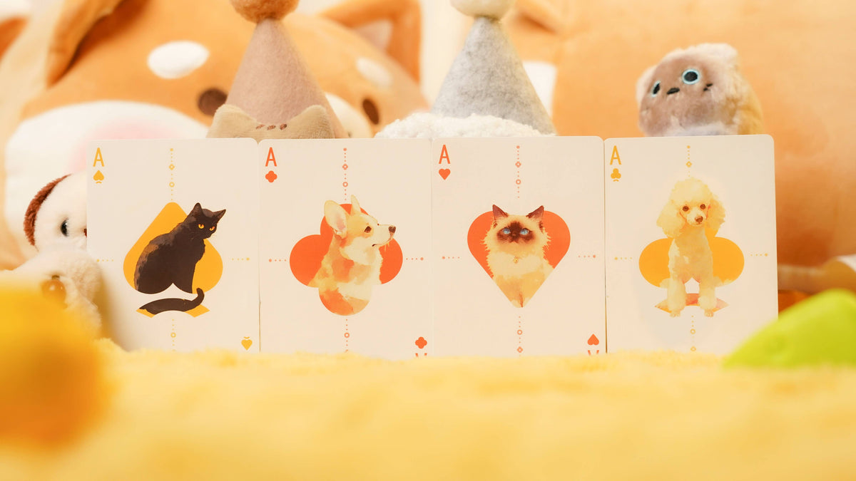 Cat & Dog Playing Cards – TCC Fashion